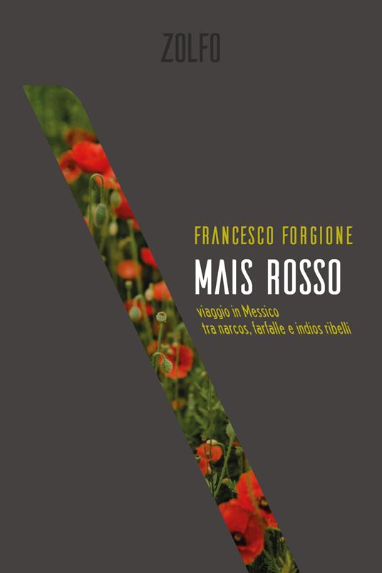 Cover forgione