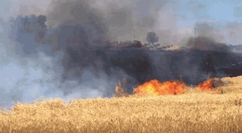 Naro Grano incendio Cooperativa Livatino