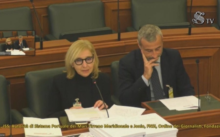 Fnsi in senato
