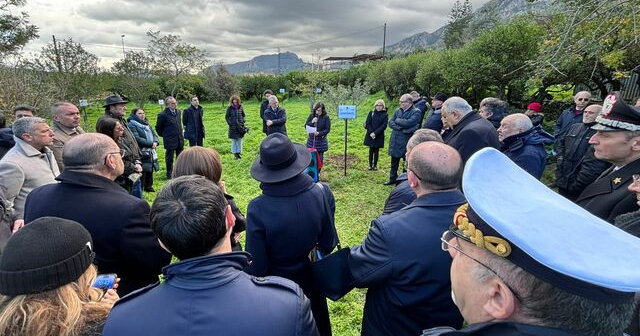 Mattarella panoramica