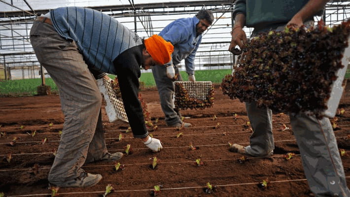 Braccianti agro pontino