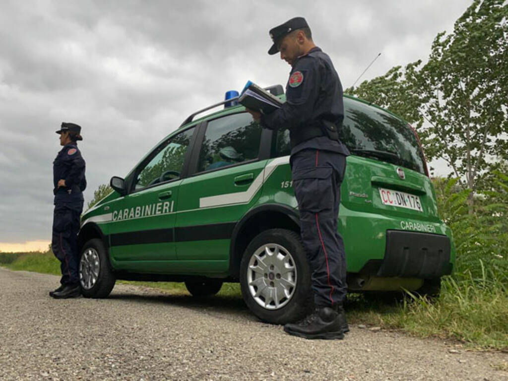 Carabinieri forestale