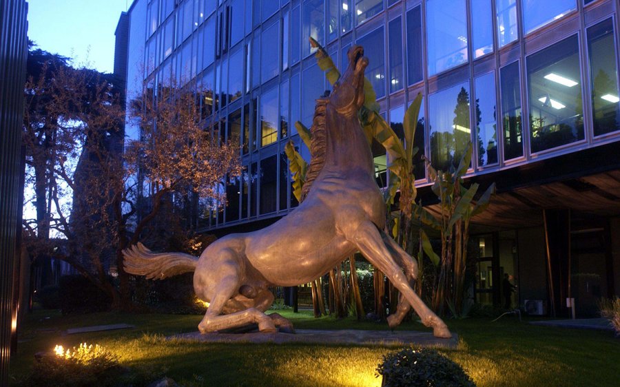 Cavallo rai