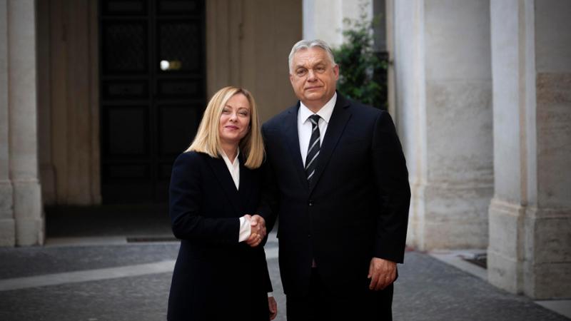 Meloni orban