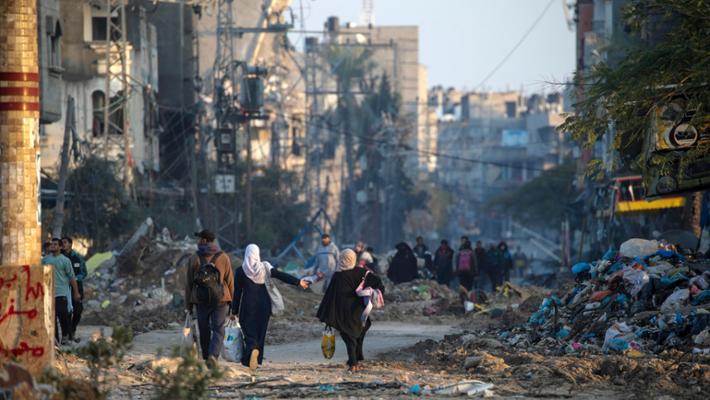 Msf gaza