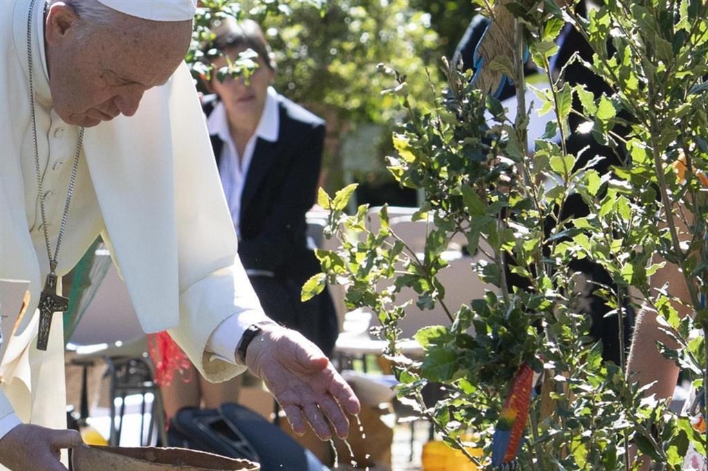 Papa francesco