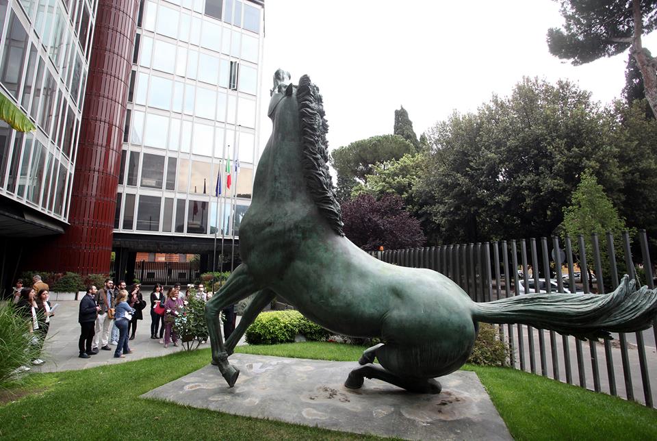 Rai cavallo